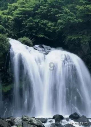 拯救孩子詹姆斯